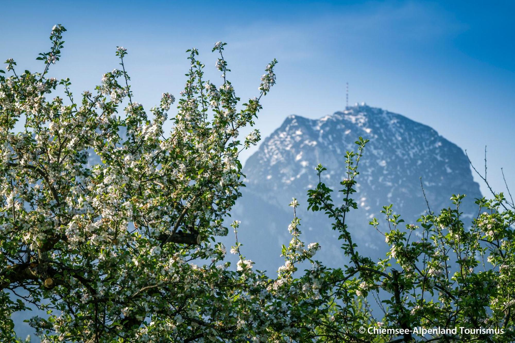 Land Wirtschaft Hoess Bad Feilnbach Buitenkant foto