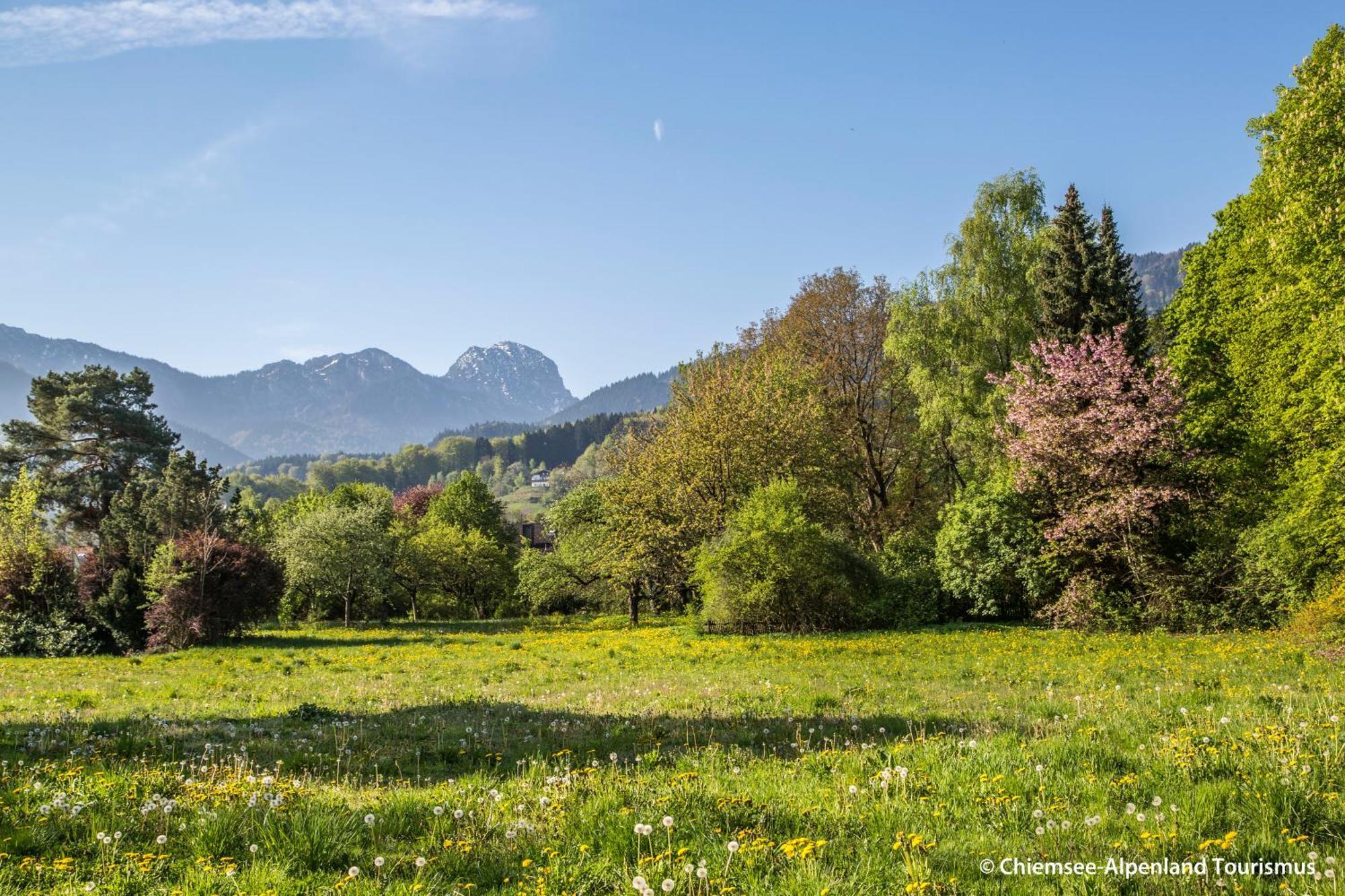 Land Wirtschaft Hoess Bad Feilnbach Buitenkant foto